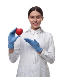 Doctor holding red heart on white background. Cardiology concept