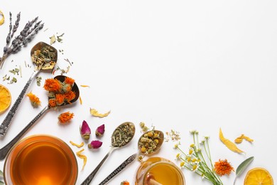 Photo of Freshly brewed tea and dried herbs on white background, top view. Space for text