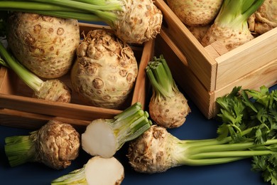 Photo of Fresh raw celery roots on blue table, above view