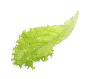 Fresh green lettuce leaf isolated on white, top view