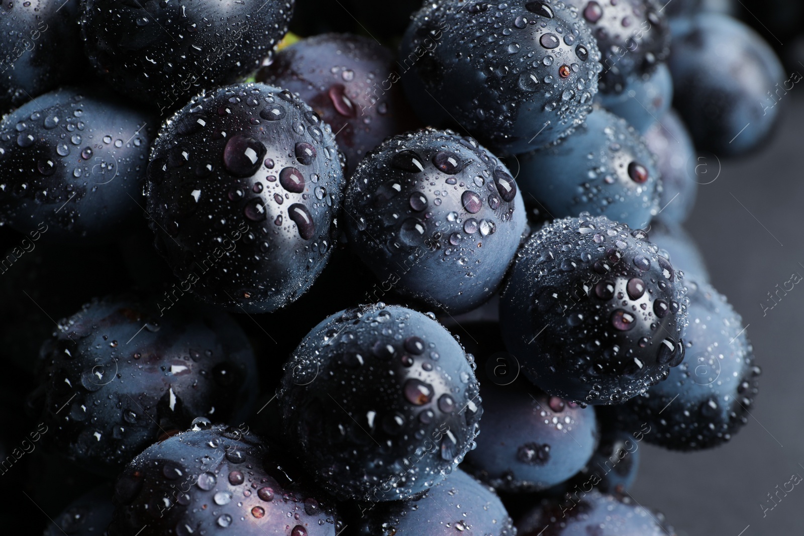 Photo of Bunch of fresh ripe juicy grapes as background. Closeup view