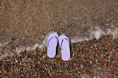 Stylish violet flip flops on beach pebbles, top view