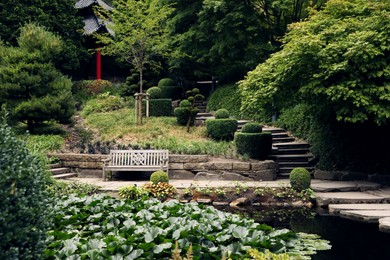 Photo of Beautiful view of park with pond and green plants