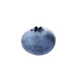 Photo of Tasty ripe fresh blueberry isolated on white