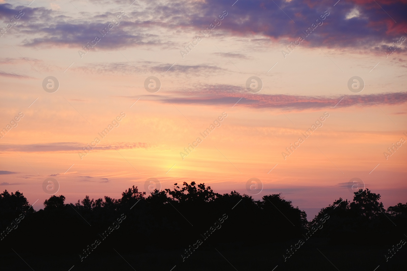 Photo of Picturesque view of beautiful twilight sky with clouds
