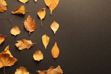 Flat lay composition with autumn leaves and space for text on dark background