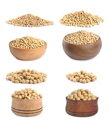 Image of Set with soya beans on white background 