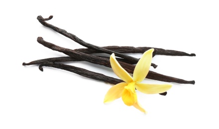 Aromatic vanilla sticks and flower on white background