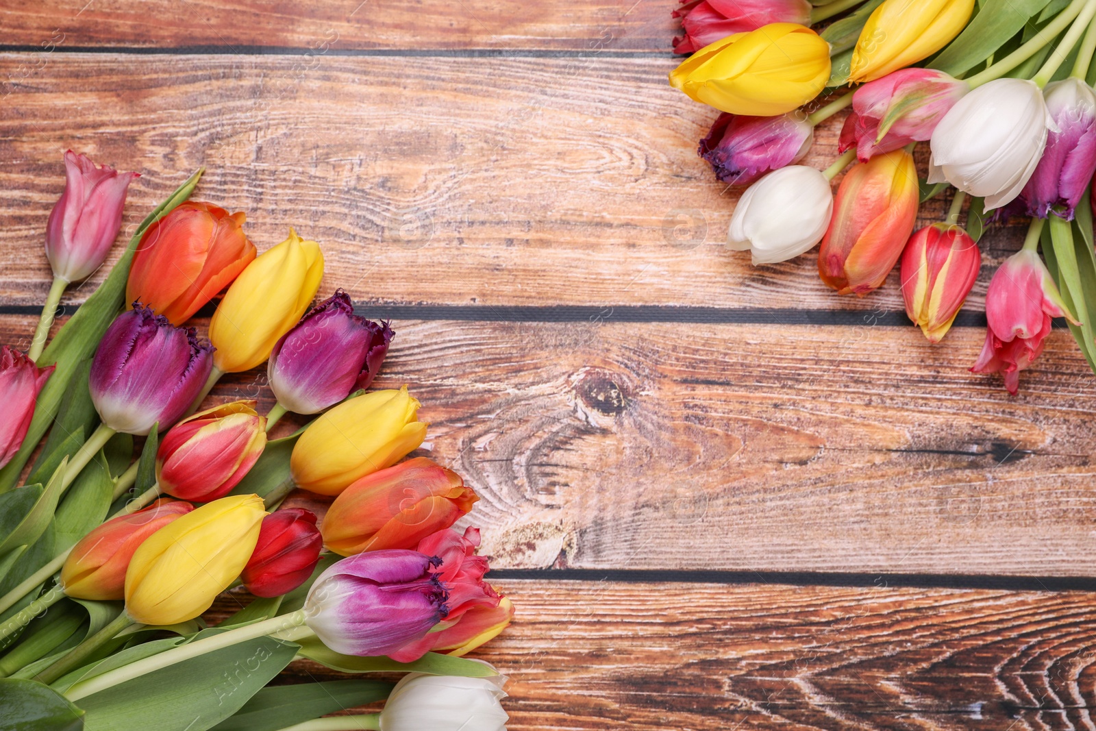 Photo of Beautiful colorful tulip flowers on wooden table, flat lay. Space for text