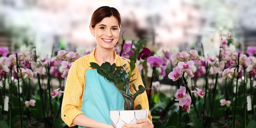 Image of Florist holding houseplant in shop. Banner design