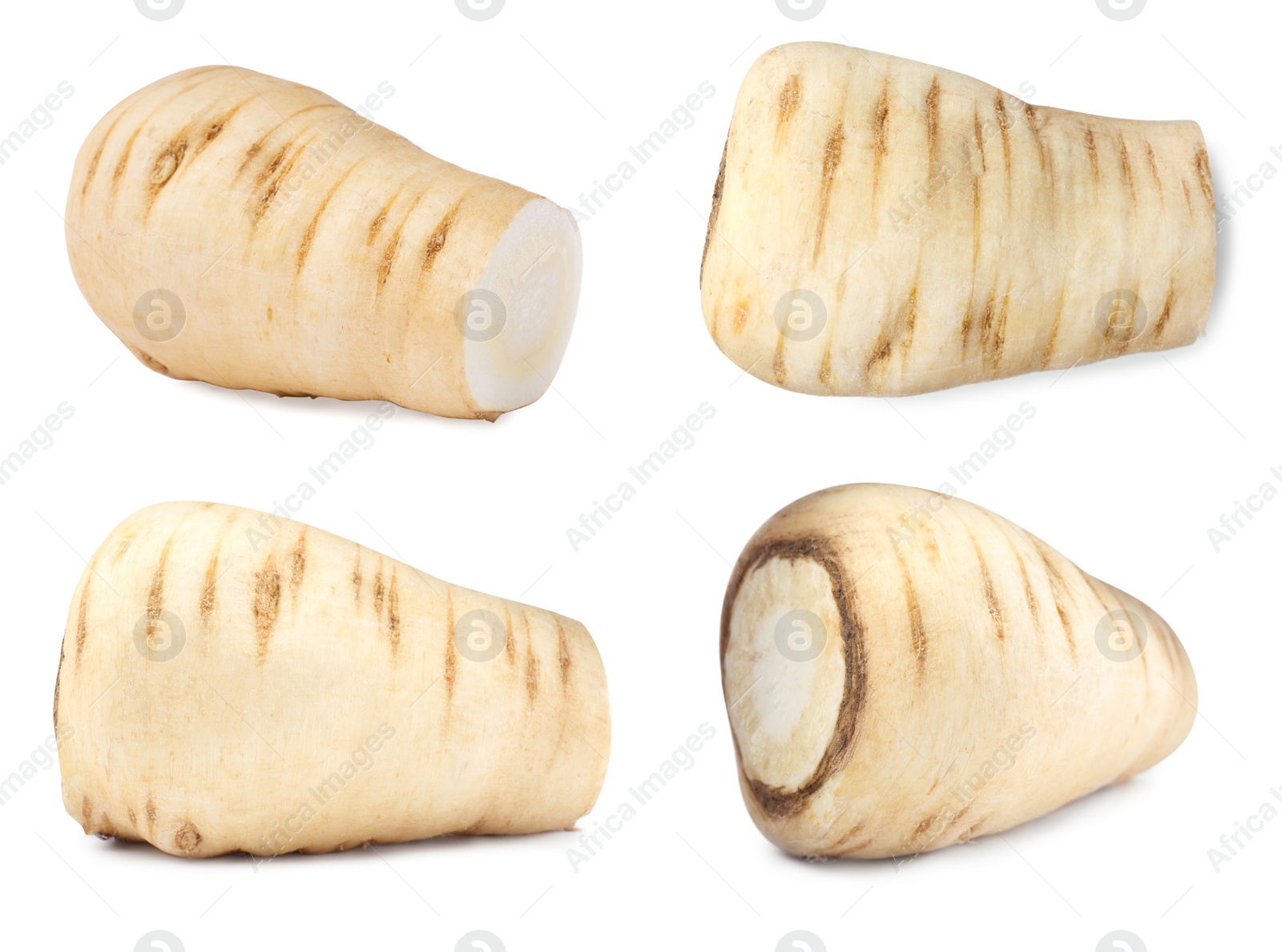 Image of Collage with fresh parsnip on white background