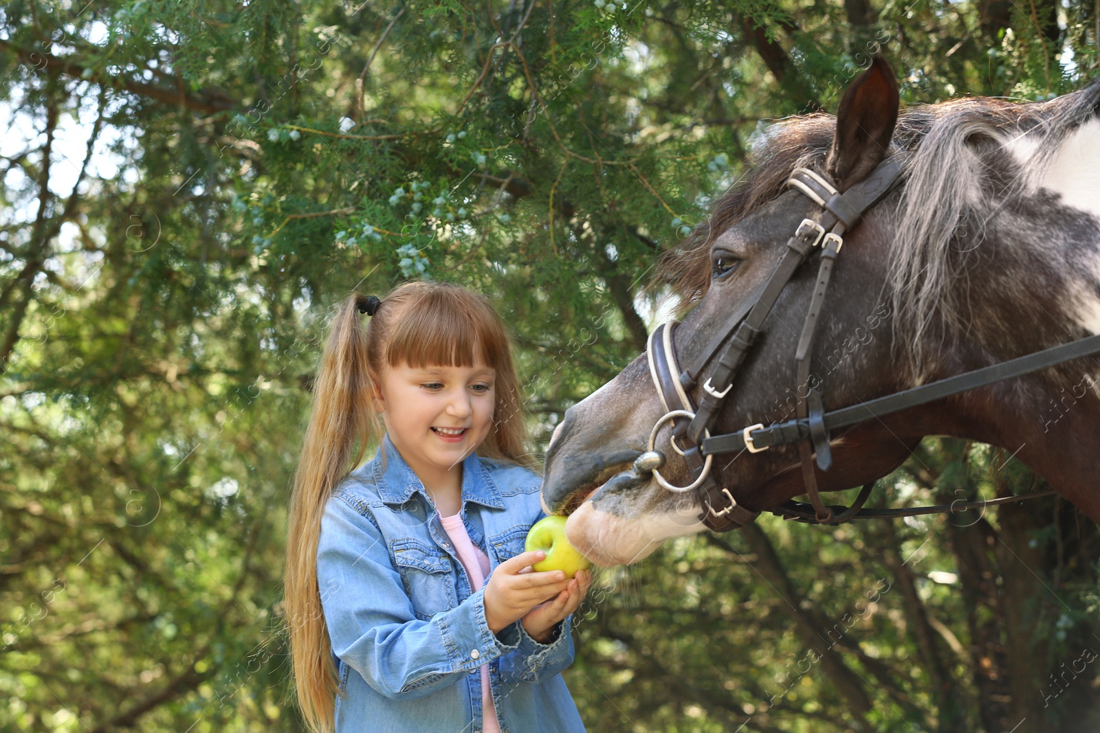 Photo of Cute little girl feeding her pony with apple in green park