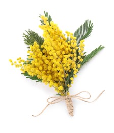 Beautiful mimosa flowers isolated on white, top view