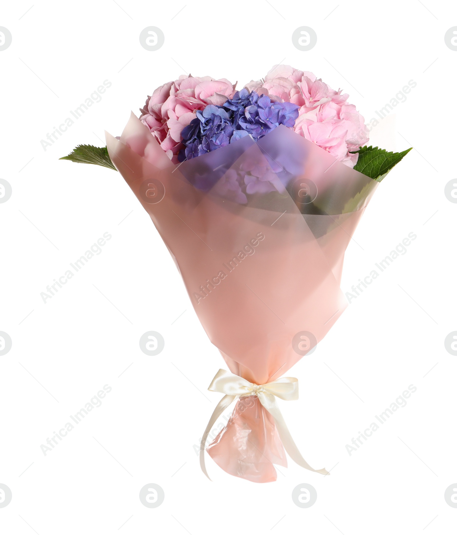 Photo of Bouquet with beautiful hortensia flowers isolated on white