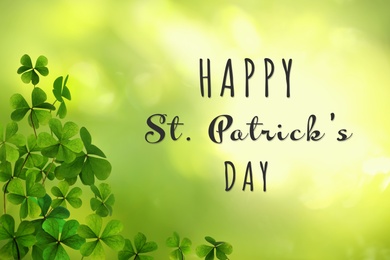 Happy St. Patrick's Day. Clover leaves on green background