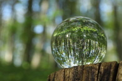 Beautiful green trees outdoors, overturned reflection. Crystal ball on stump in forest. Space for text