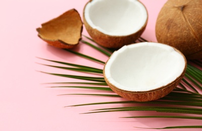 Photo of Fresh coconuts and palm leaf on pink background