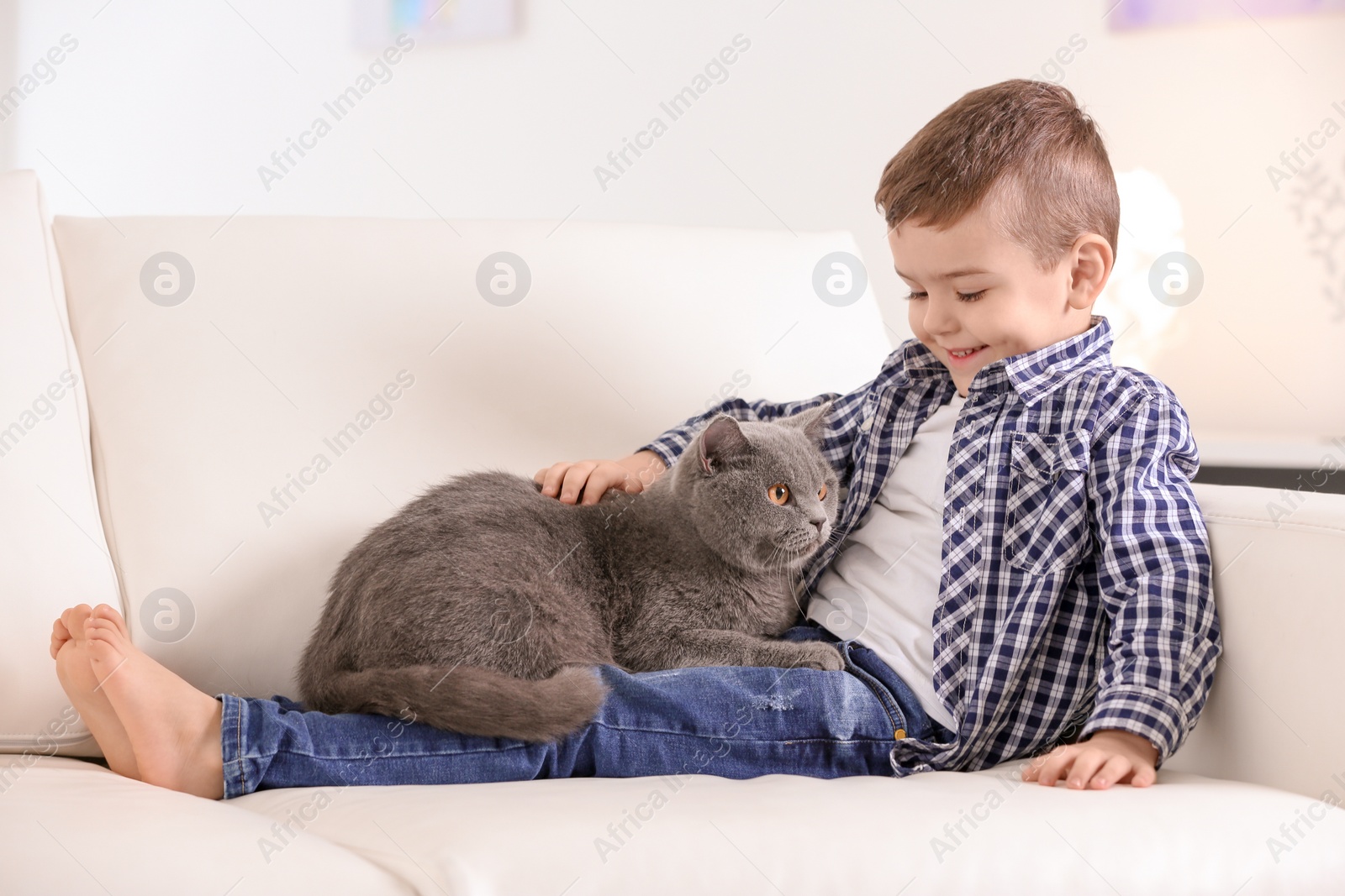 Photo of Cute little child with cat at home