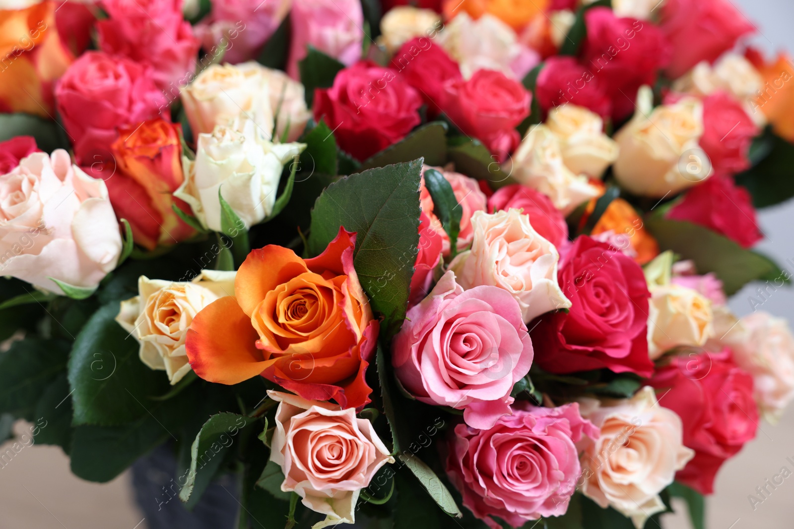 Photo of Bouquet of beautiful roses on light background, closeup