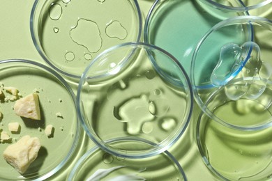 Photo of Flat lay composition with Petri dishes on light green background