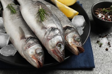 Photo of Sea bass fish and ingredients on grey table, closeup