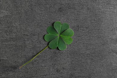 Photo of Green four leaf clover on grey table, top view
