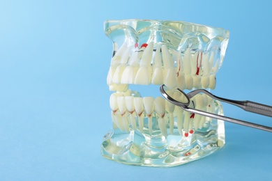 Photo of Model of oral cavity with teeth and dentist tools on color background. Space for text