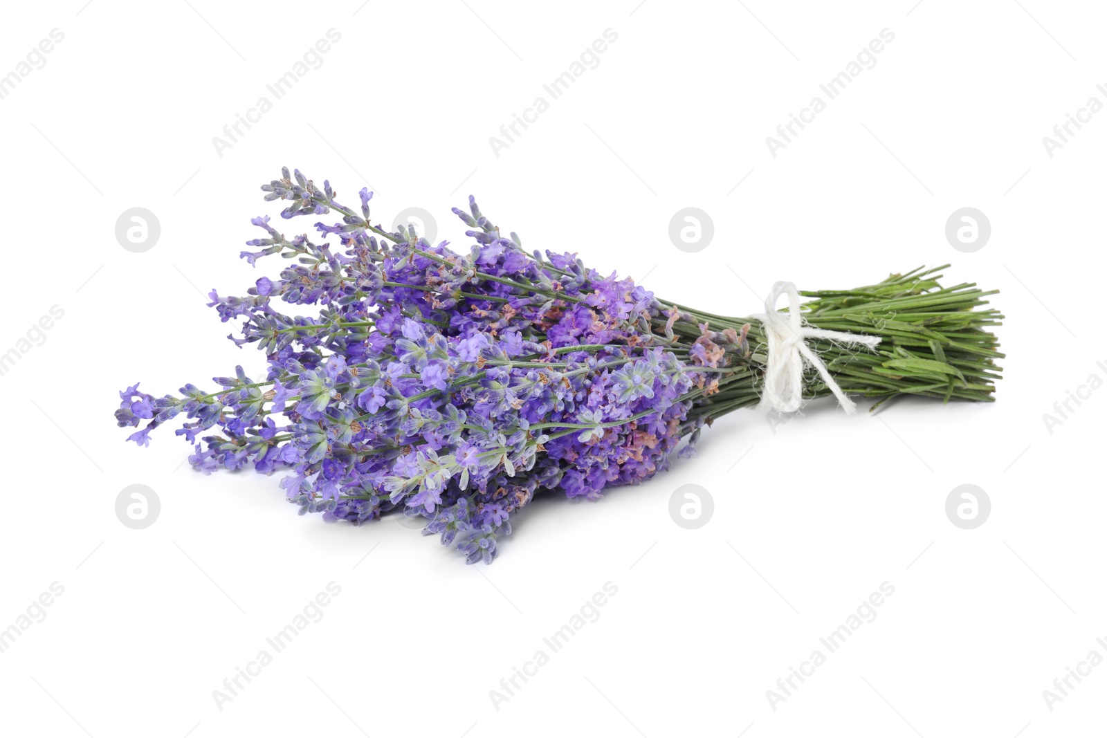 Photo of Bouquet of beautiful lavender flowers isolated on white