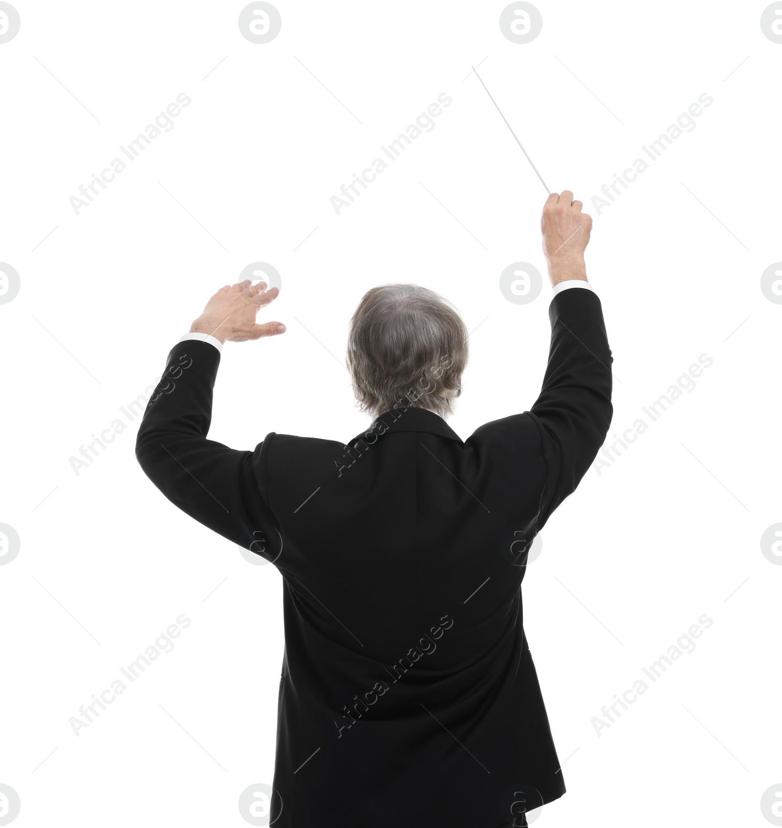 Photo of Professional conductor with baton on white background, back view