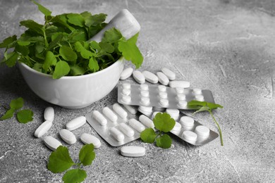 Photo of Mortar with fresh green celandine and pills on light grey table