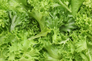 Photo of Fresh green lettuce leaves as background, top view