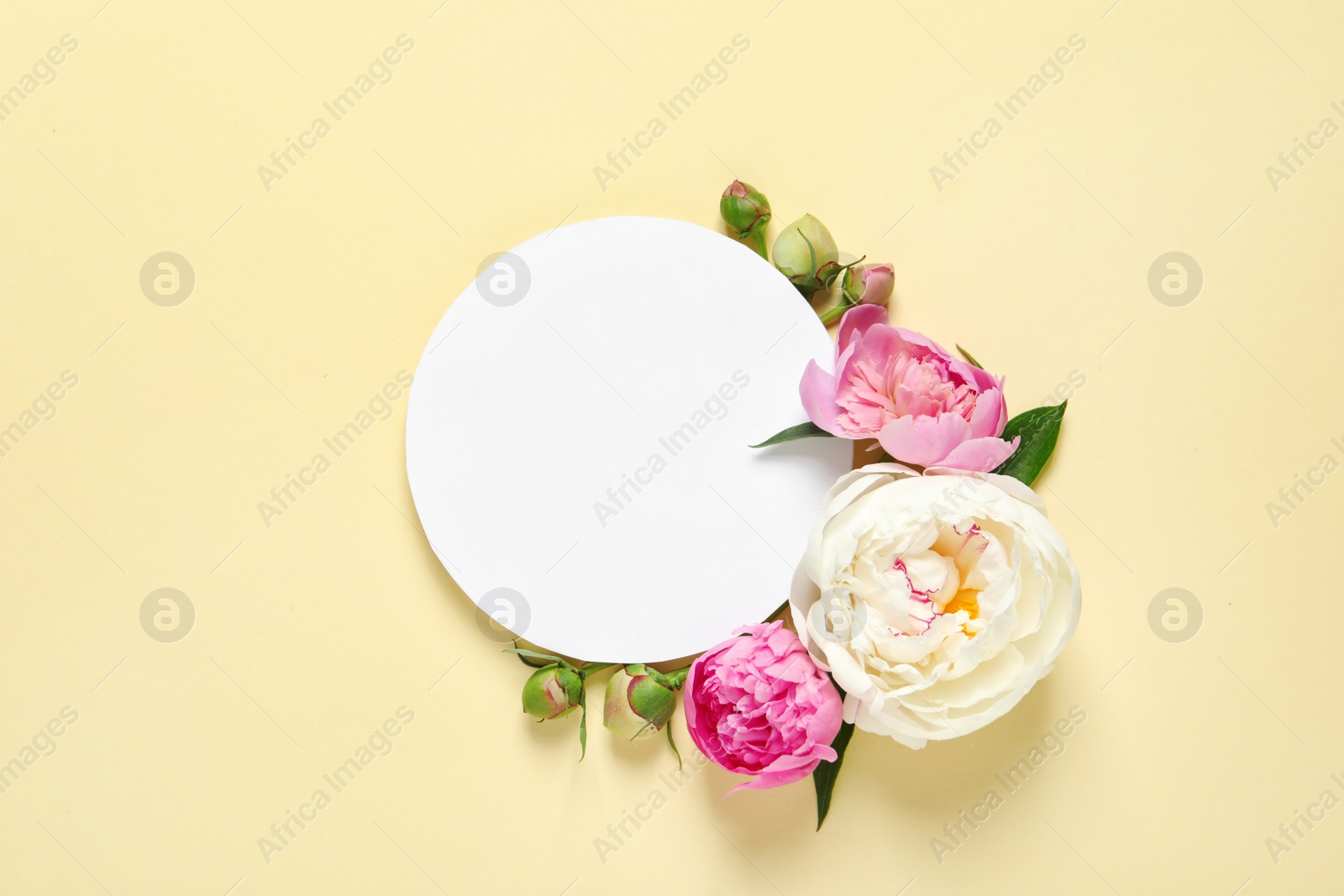 Photo of Fresh peonies and empty card on color background, flat lay with space for text