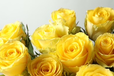 Beautiful bouquet of yellow roses on light grey background, closeup