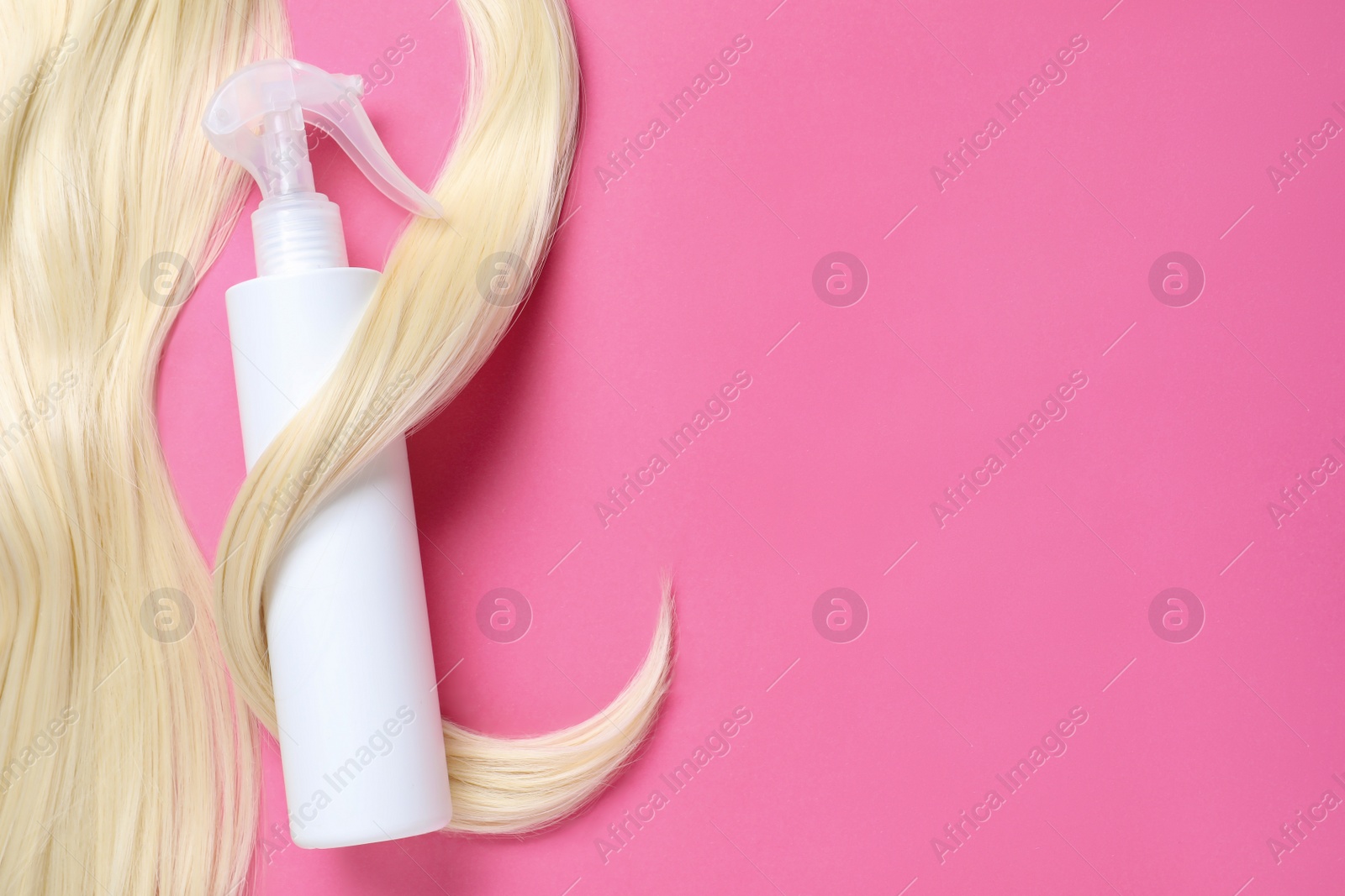 Photo of Spray bottle with thermal protection and lock of blonde hair on pink background, flat lay. Space for text