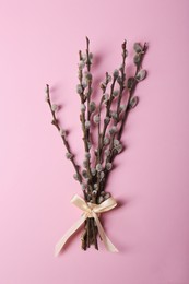 Beautiful blooming willow branches on pink background, top view