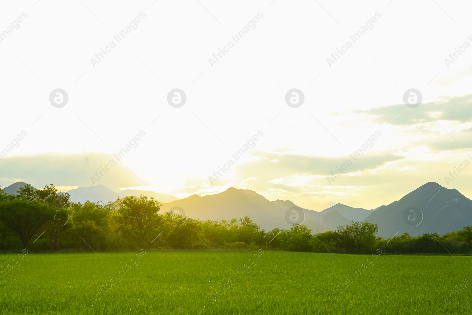 Photo of Beautiful view of mountain landscape on sunny day