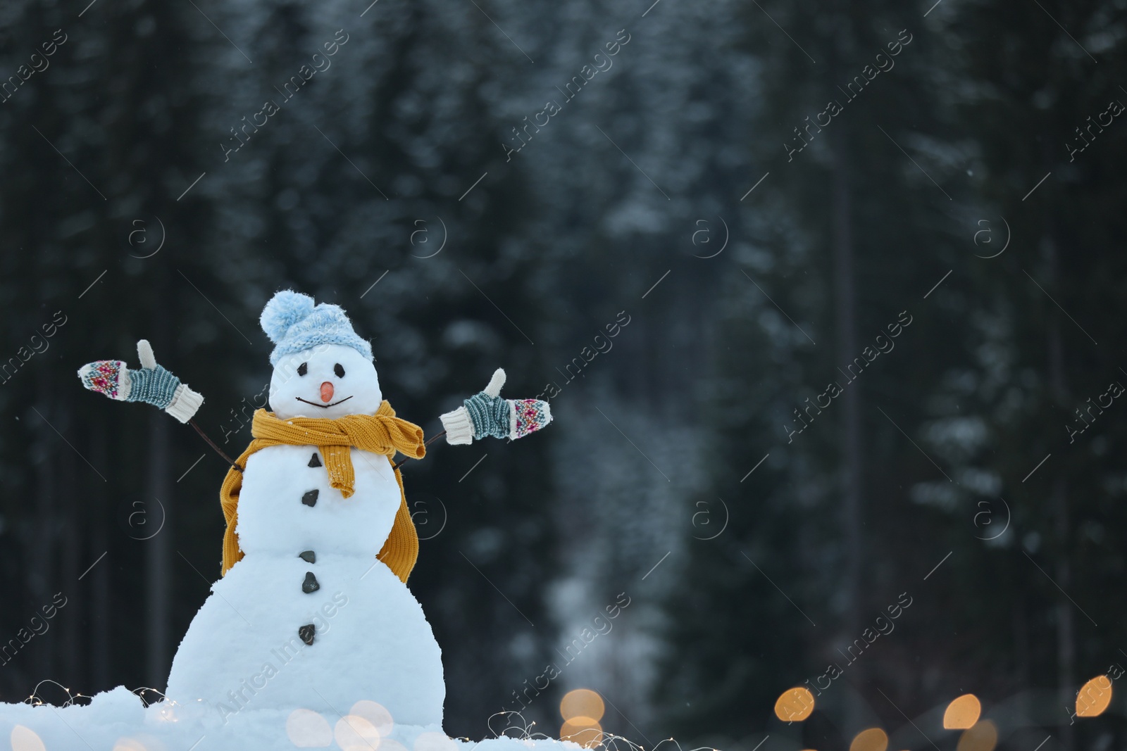 Photo of Adorable smiling snowman with Christmas lights outdoors on winter day. Space for text