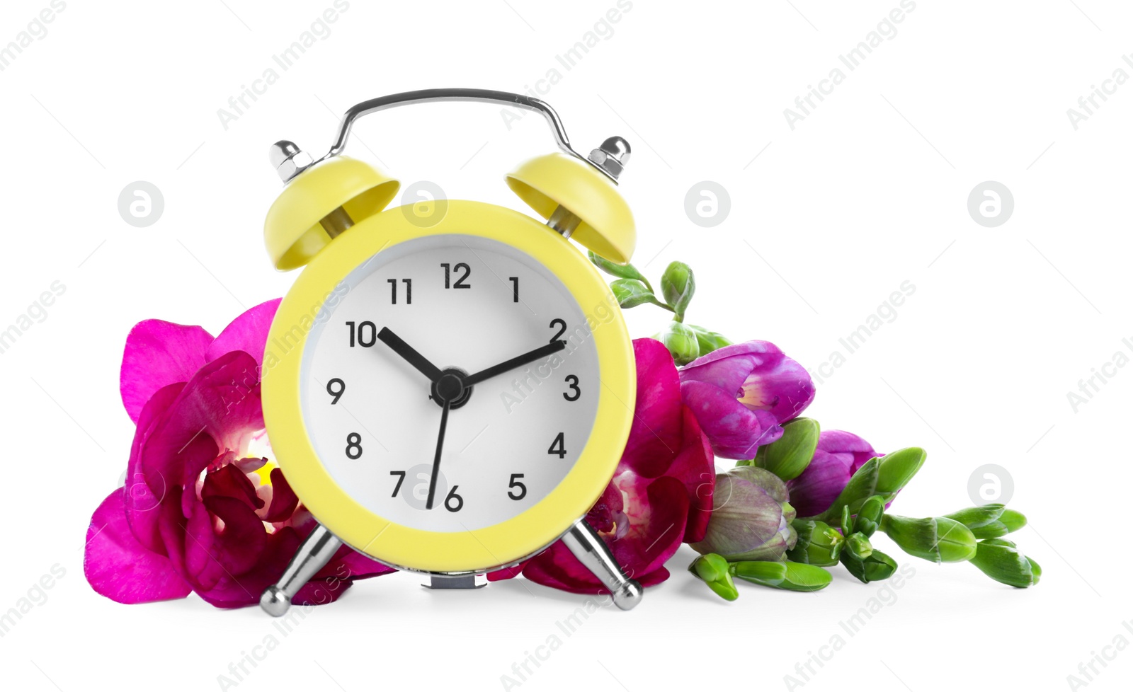 Photo of Yellow alarm clock and spring flowers on white background. Time change