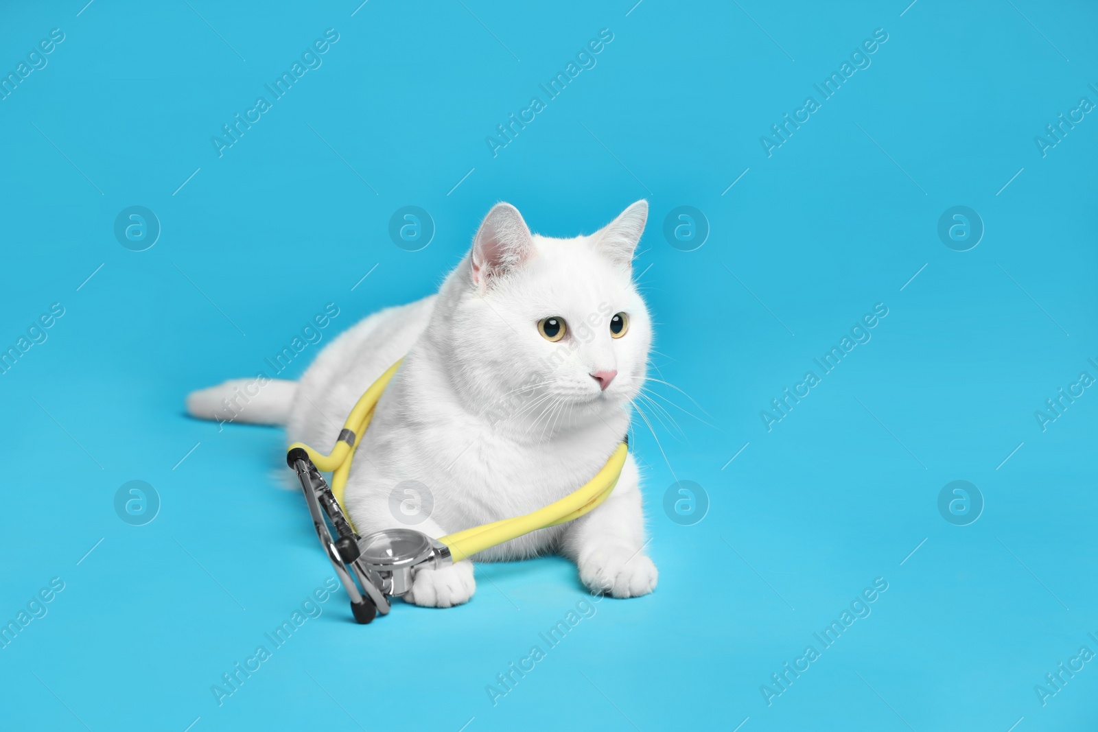 Photo of Cute cat with stethoscope as veterinarian on light blue background