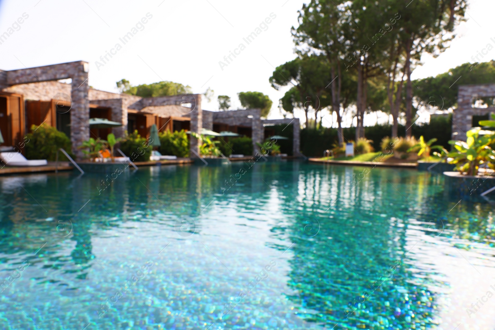 Photo of Blurred view of swimming pool and exotic plants at luxury resort