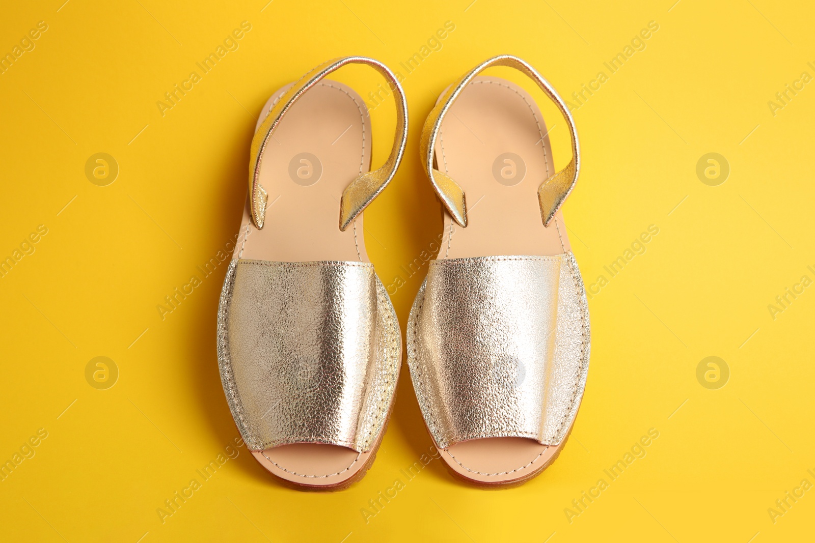 Photo of Pair of female shoes on color background