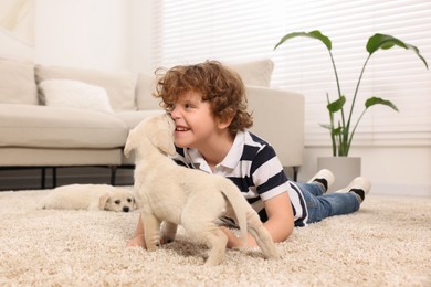 Little boy with cute puppies on beige carpet at home