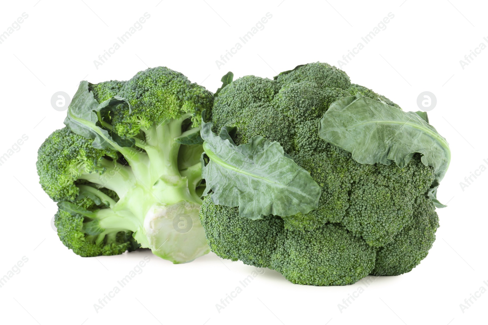 Photo of Fresh green broccoli isolated on white. Organic food