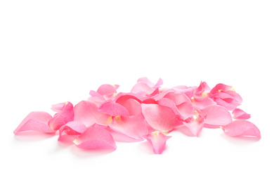 Photo of Fresh pink rose petals on white background