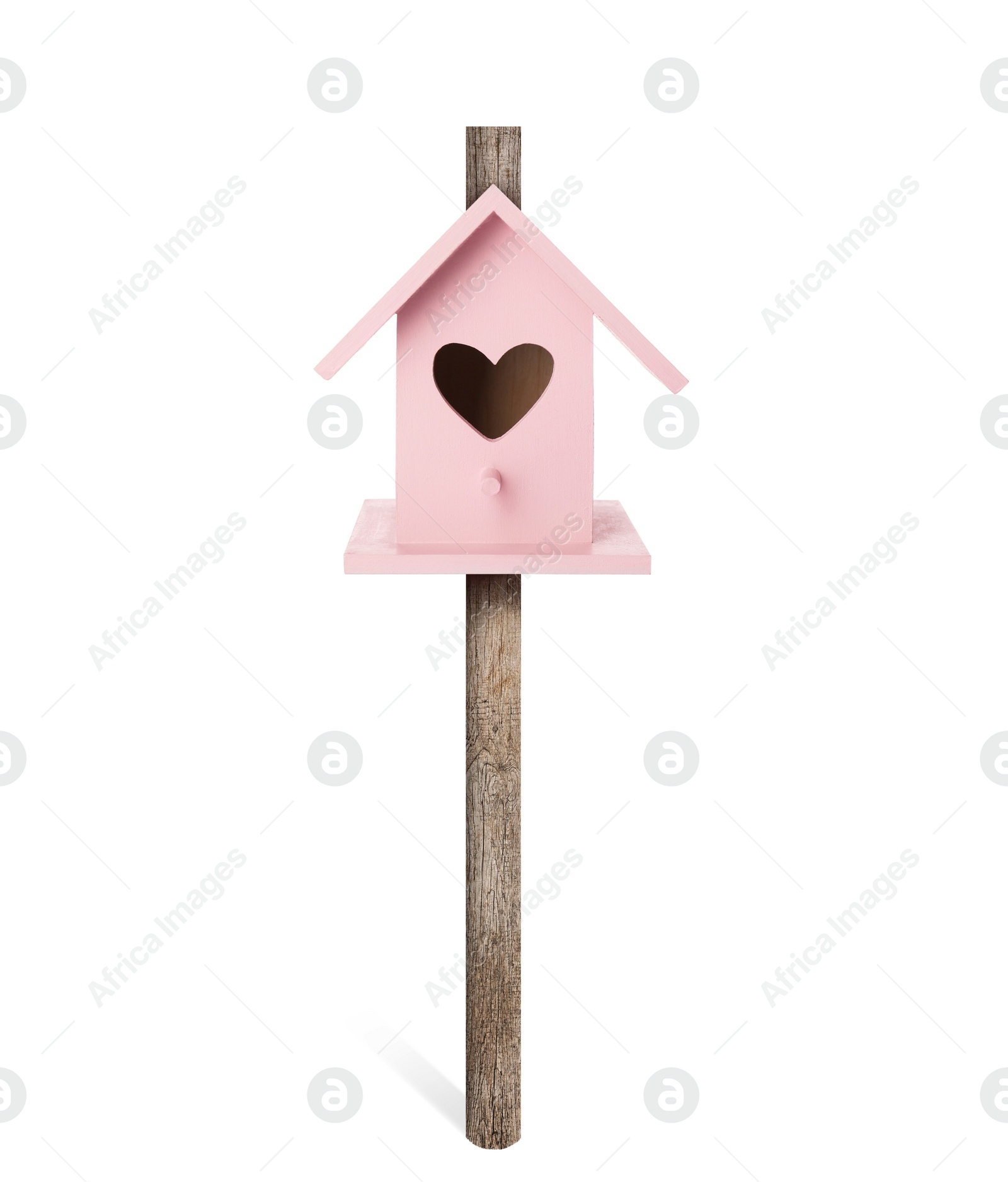 Image of Beautiful wooden bird box isolated on white