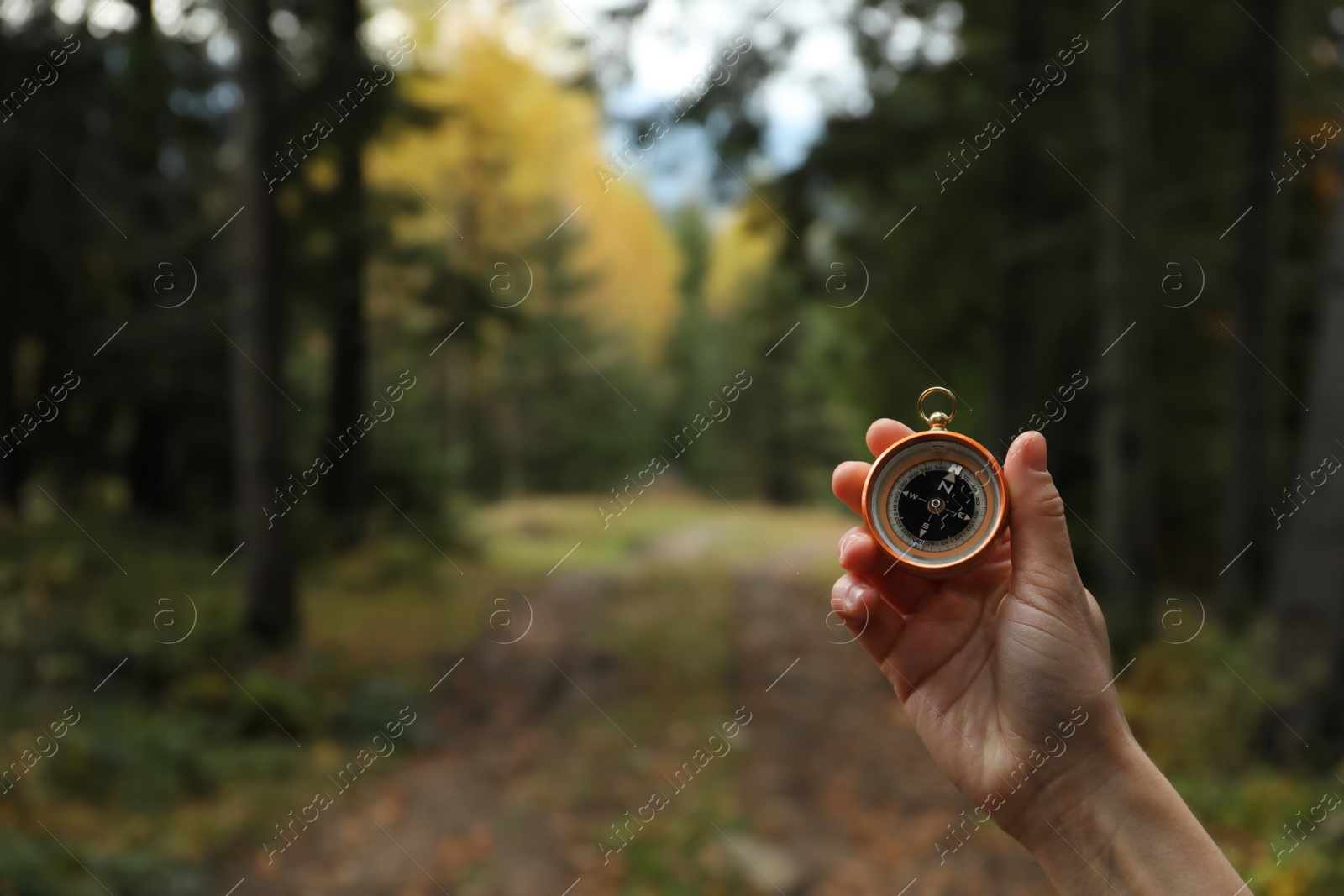 Photo of Woman using compass during hiking in forest, closeup