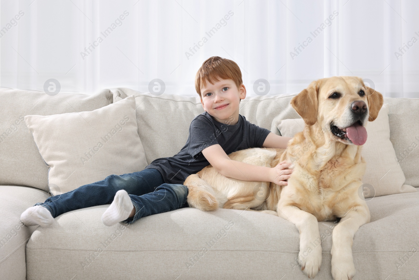 Photo of Cute child with his Labrador Retriever on sofa at home. Adorable pet