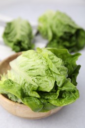 Photo of Fresh green romaine lettuces on grey table, closeup