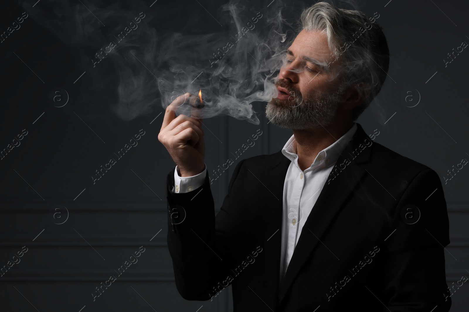 Photo of Handsome bearded man smoking cigar against dark grey background. Space for text