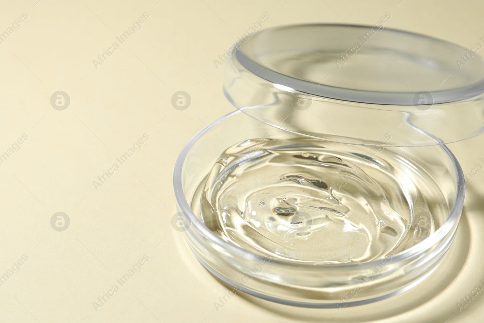 Photo of Petri dish with liquid and lid on beige background, closeup. Space for text